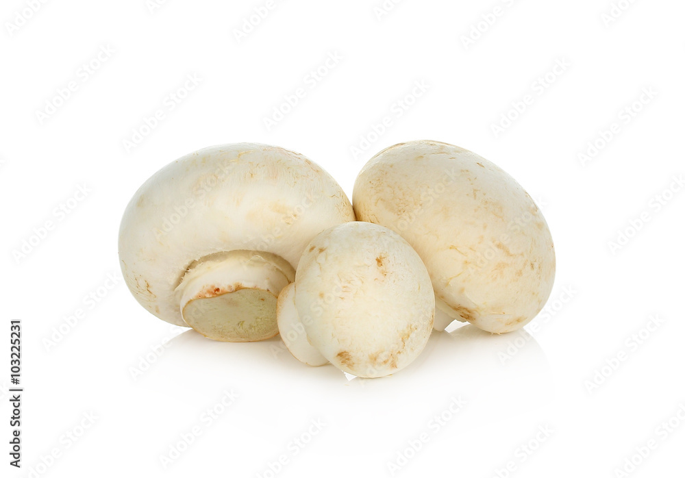 Champignon Isolated on White Background Champignon Isolated on White Background