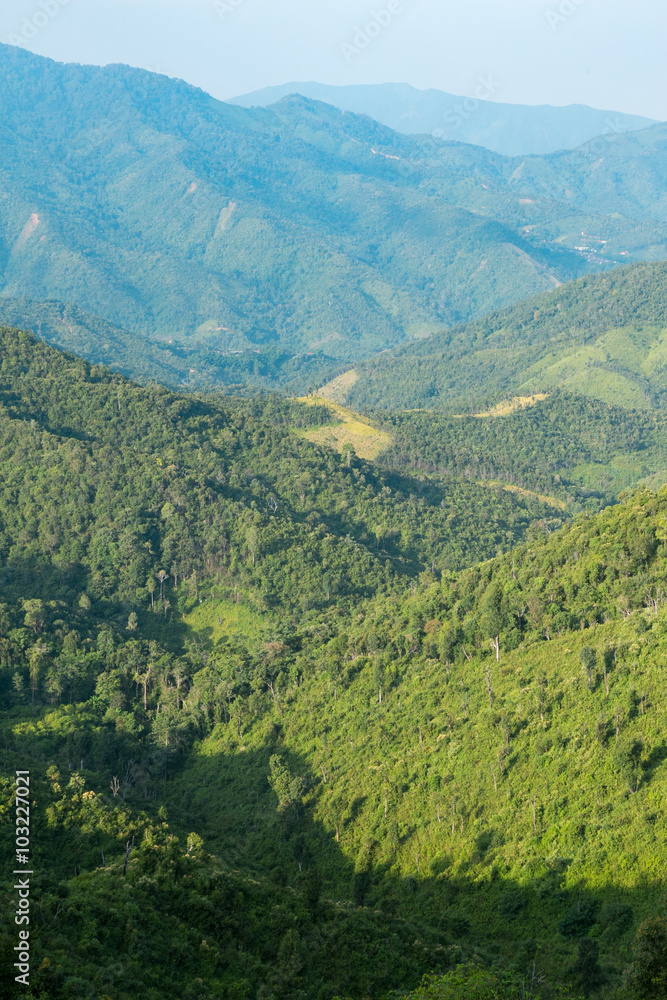Obraz premium Sky, forest and mountains.