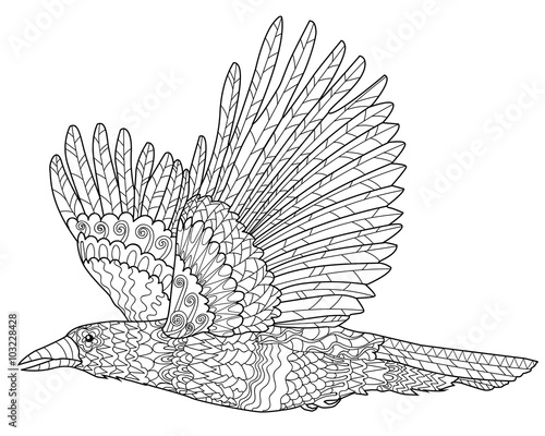 Flying raven with high details. 