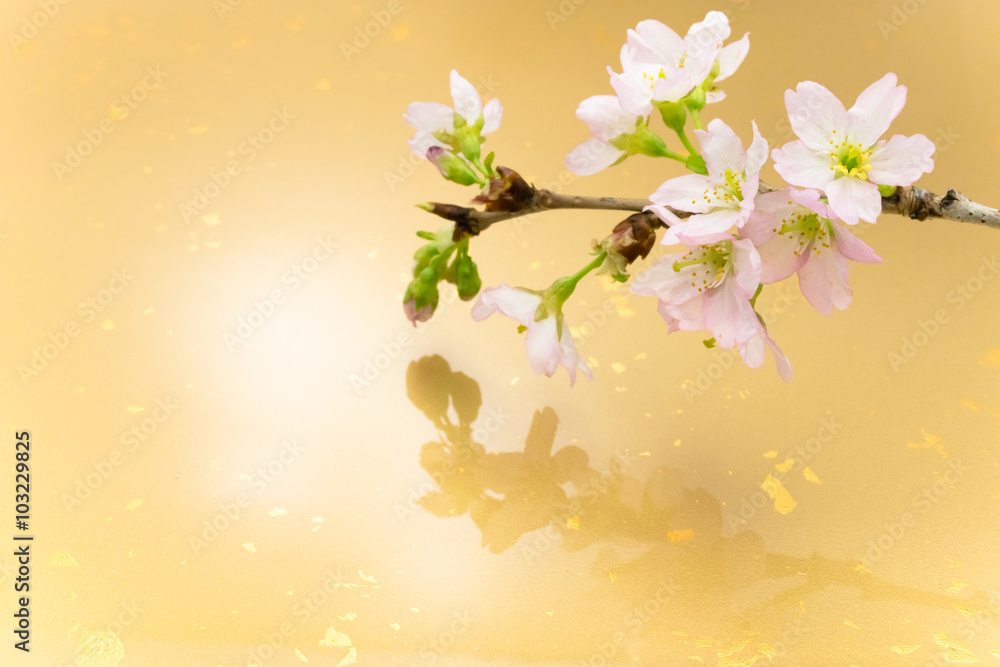 Obraz premium 桜 小枝 背景 金色