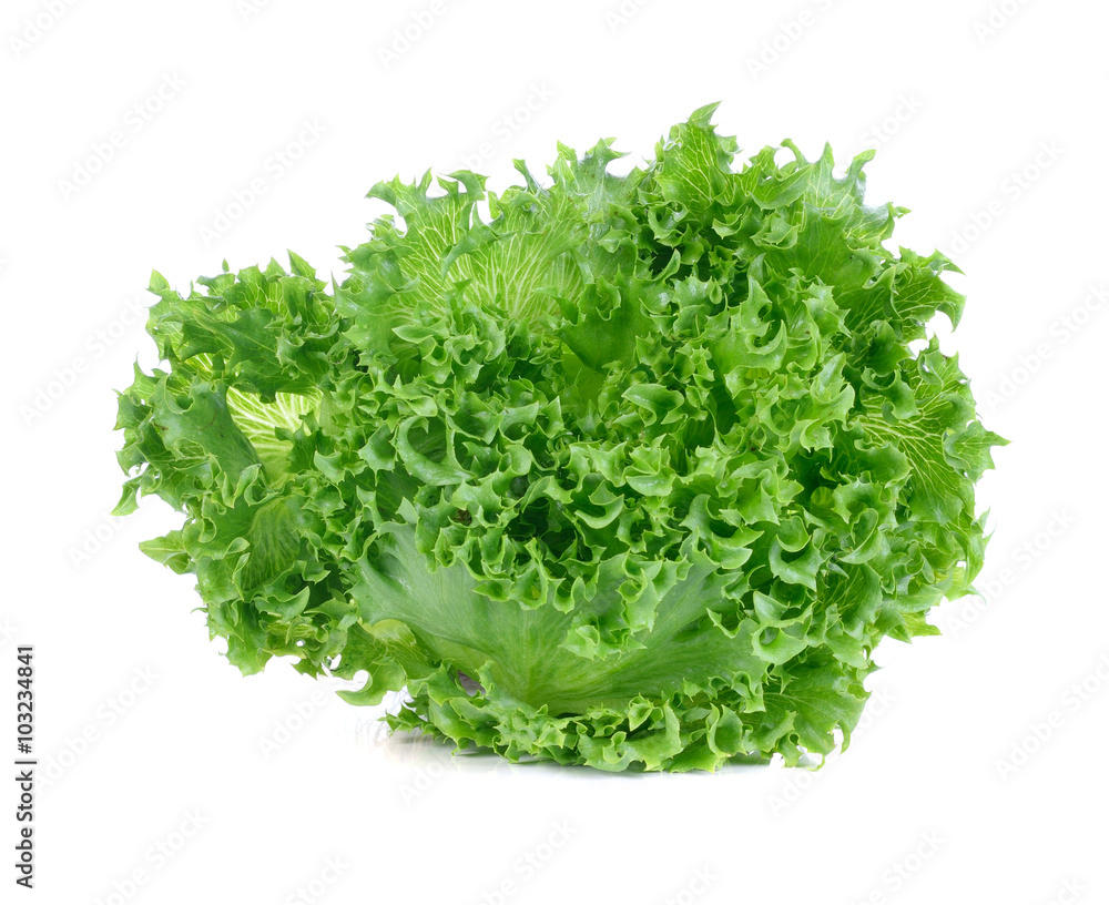 Green lettuce isolated on the white background. Green lettuce isolated on the white background.