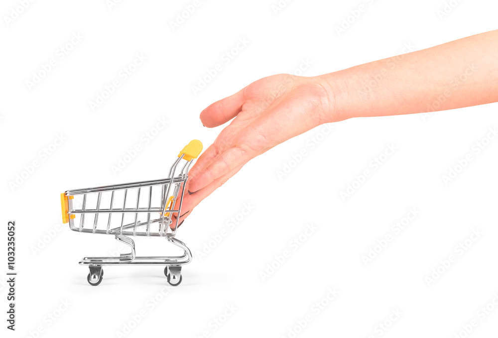 Fototapeta premium hand pushing a wheelbarrow for products