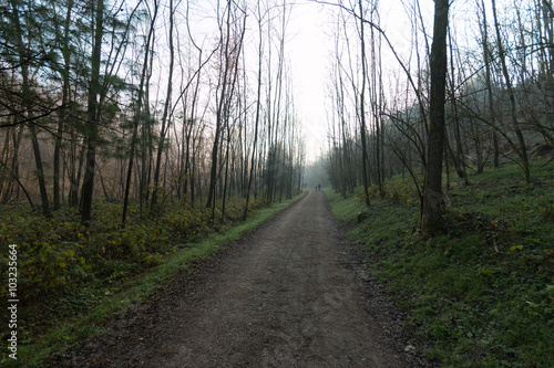 sentiero nel parco del Lura - Lomazzo