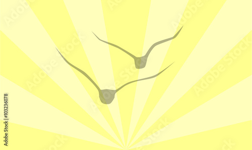 Birds Against The Sun