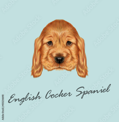 Red Puppy portrait