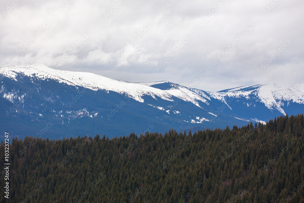 Fototapeta premium snowy mountain tops