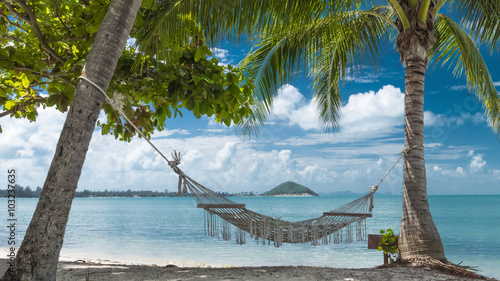 Tropical beach with coconut palm trees and hammock