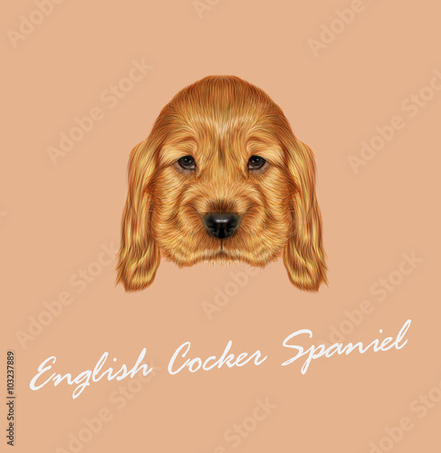 Red Puppy portrait
