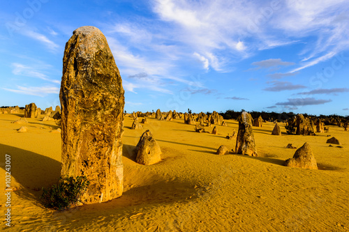 The Pinnacles of Nambung National Park in Western Australia photo