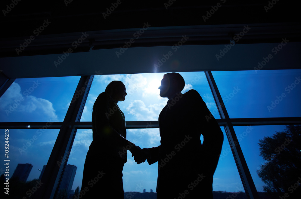 Business partners handshaking Business partners handshaking