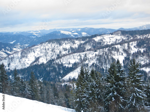 Winter in Carpathian mountains