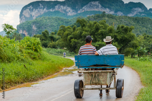 Local traffic in rural road in Vinales,Cuba. © marcin jucha