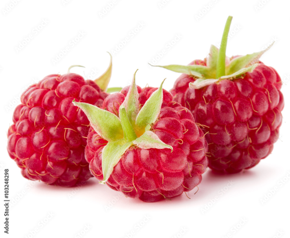 ripe raspberries isolated on white background close up ripe raspberries isolated on white background close up