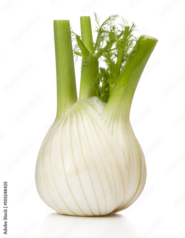 Fresh fennel bulb isolated on white background close up StockFoto