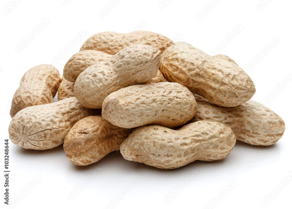 peanut pod or arachis isolated on white background cutout peanut pod or arachis isolated on white background cutout