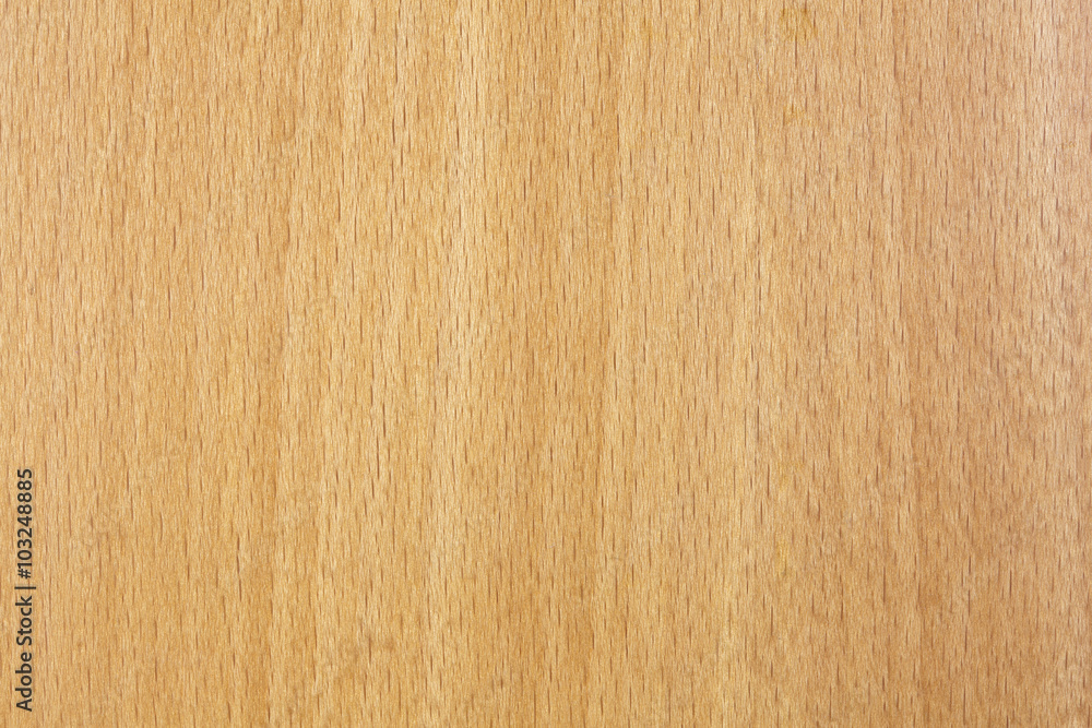 Beech wood Beech wood