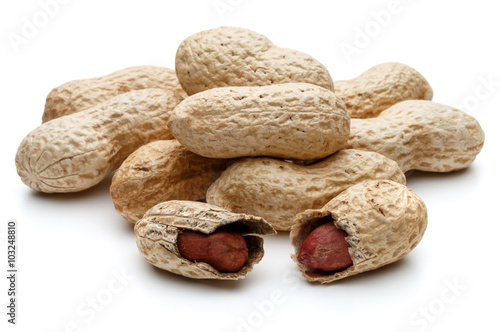 Wallpaper Mural peanut pod or arachis isolated on white background cutout Torontodigital.ca