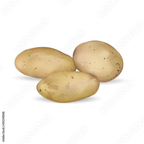 potato food vegan, vector