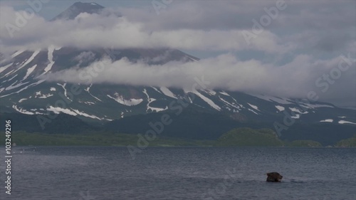 Bear and a volcano photo