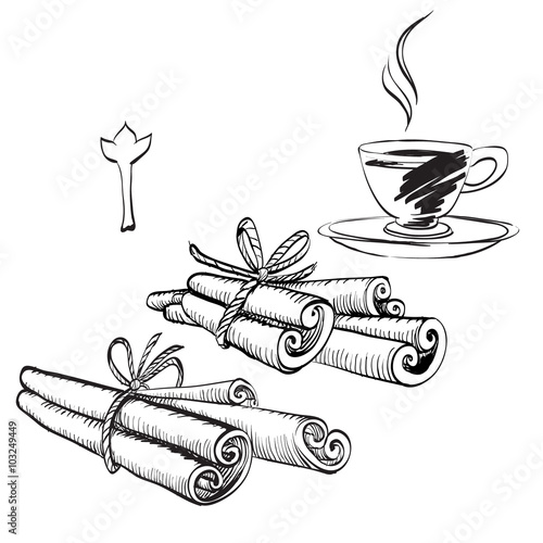 cinnamon, coffee, ink drawing brush isolated vector