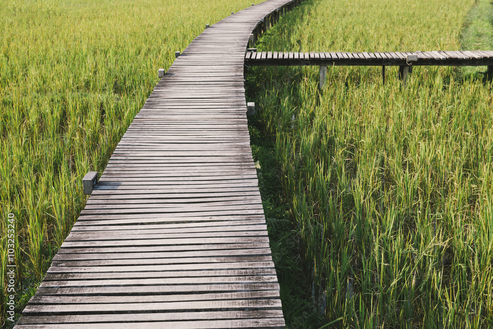 Wooden bridge to rice field