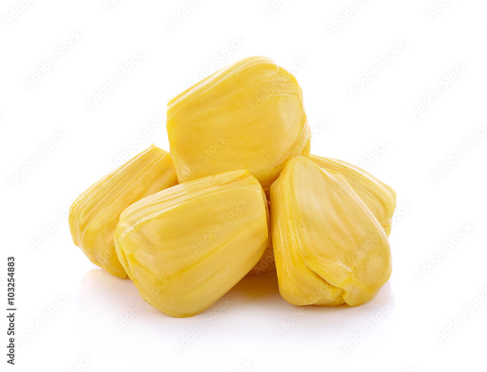 jackfruit isolated on white background jackfruit isolated on white background