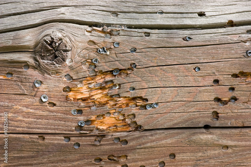 Canvas-taulu Airsoft gun bullet marks on weathered wooden wall