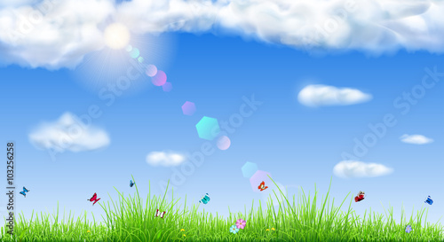 Spring background with green grass © Olga Moonlight