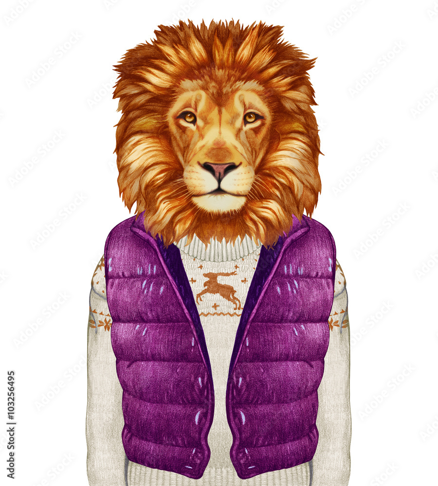 Obraz premium Animals as a human. Lion in down vest and sweater. Hand-drawn illustration, digitally colored.