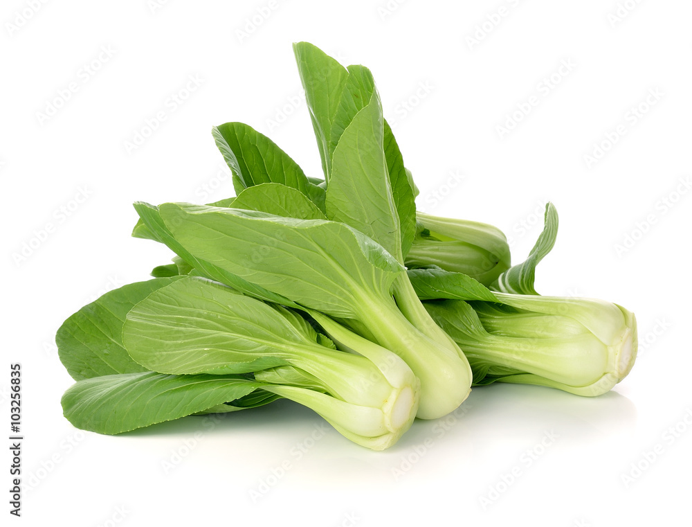 Bok choy (chinese cabbage) isolated on white Bok choy (chinese cabbage) isolated on white
