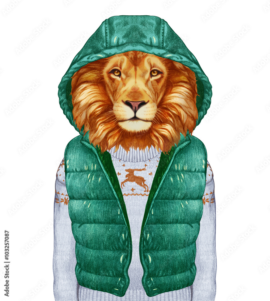 Naklejka premium Animals as a human. Portrait of Lion in down vest and sweater. Hand-drawn illustration, digitally colored.