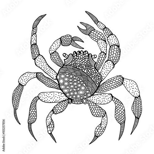 Crab isolated in zentangle style