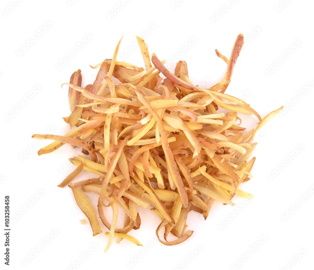 Fingerroot, Kaempfer, Boesenbergia on white background Fingerroot, Kaempfer, Boesenbergia on white background