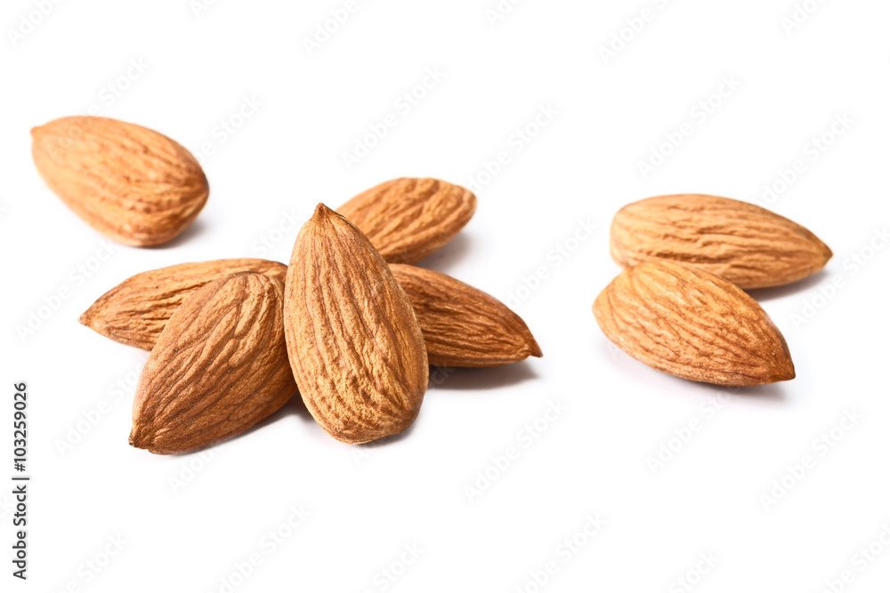 almond on white almond on white