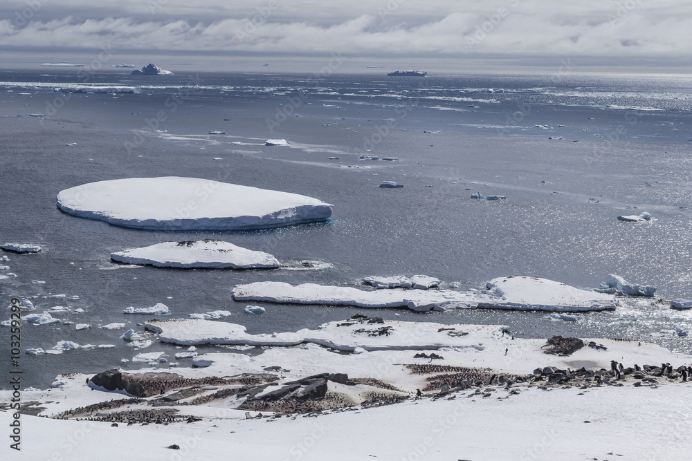 Adélie Penguin nesting place area, Antarctica. Adélie Penguin nesting place area, Antarctica.