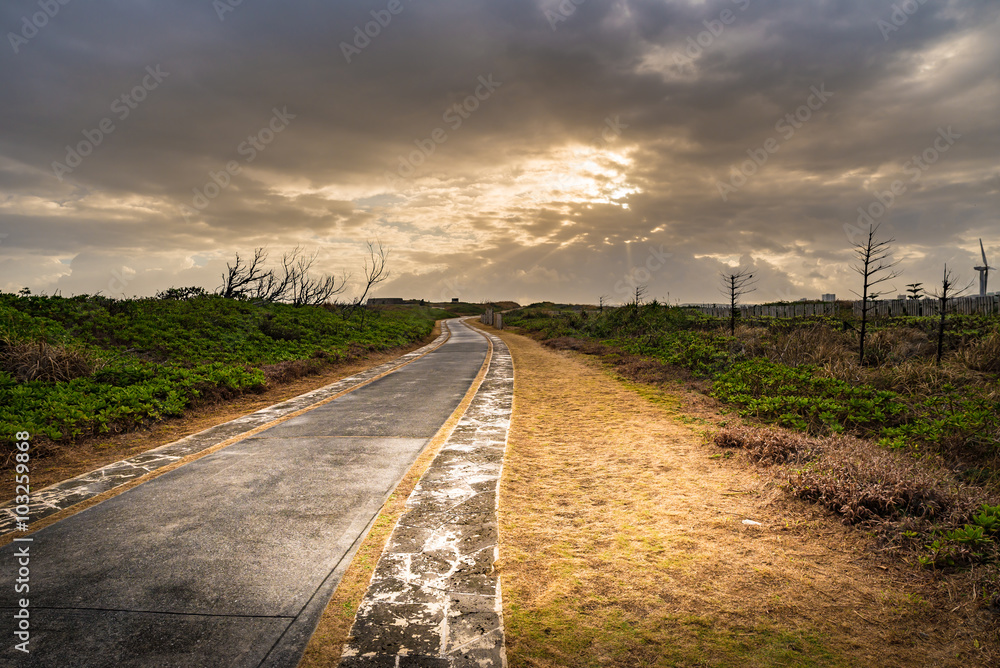 Fototapeta premium Road, grass, landscape. Okinawa, Japan, Asia.