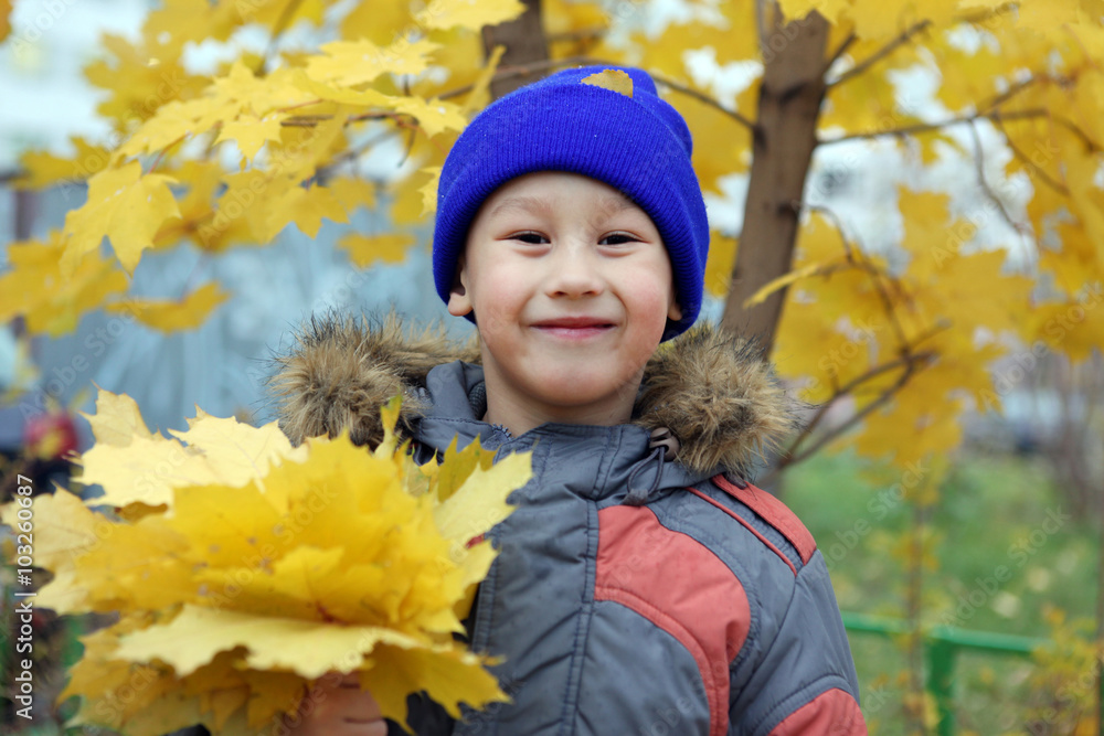 boy at maple leaf in falling boy at maple leaf in falling