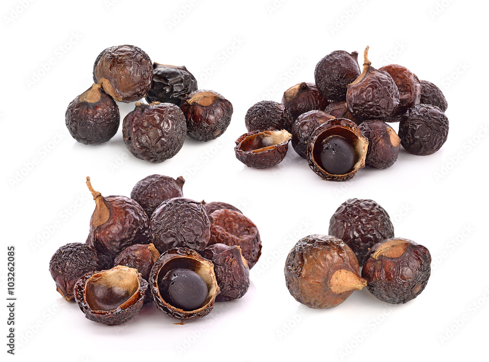 Obraz premium Soap nut tree isolated on white background