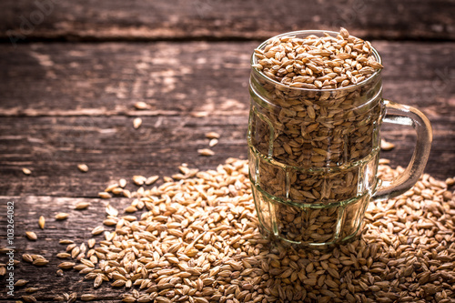 barley and hops on wooden table , beer