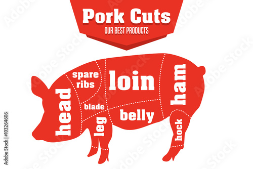 Pork cuts infographic set of meat parts, vector