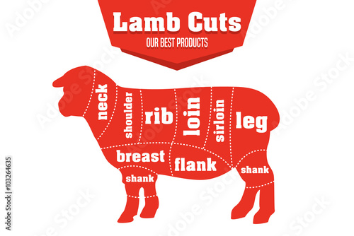 Lamb cuts infographic set of meat parts, vector