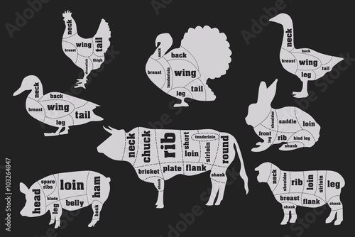 Butcher meat cuts infographic set, vector