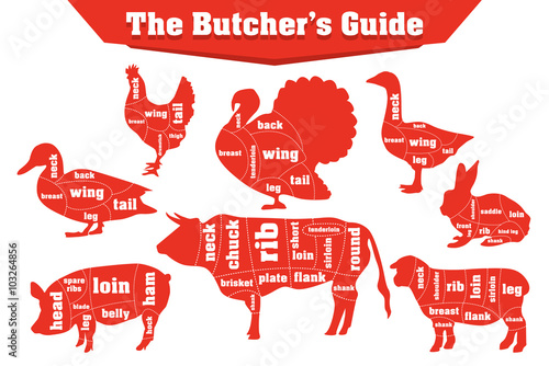 Butcher meat cuts infographic set, vector