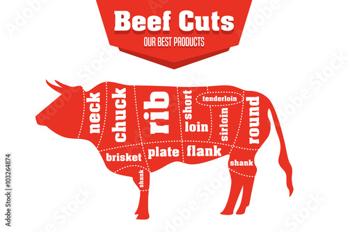 Beef cuts infographic set of meat parts, vector