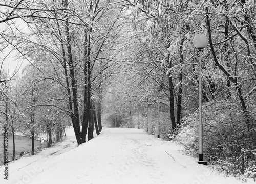 footprints in the snow on the bank of a river in black and white