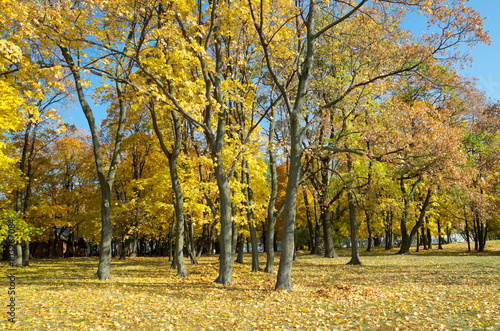 City Park in autumn