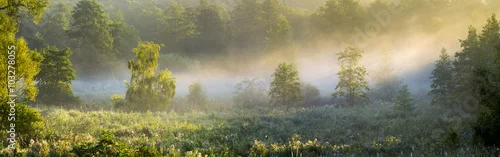 Obraz Słońce przebijające się przez mgłę na leśną polanę