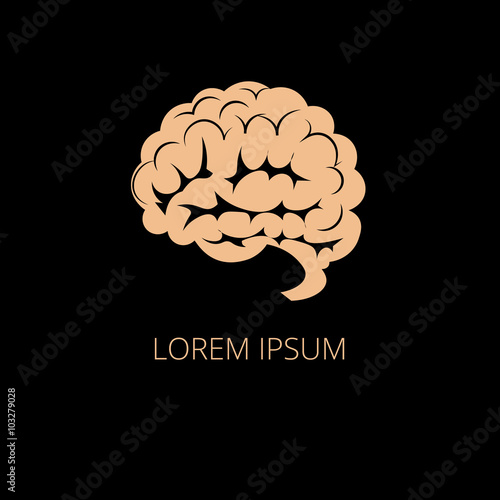 Brain vector