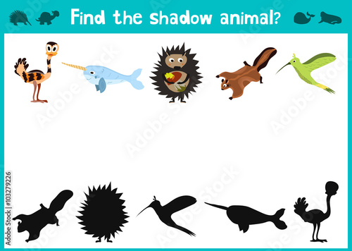 Mirror Image five different cute tropical animals Visual Game. Task find the right answer black shadow animals. Vector