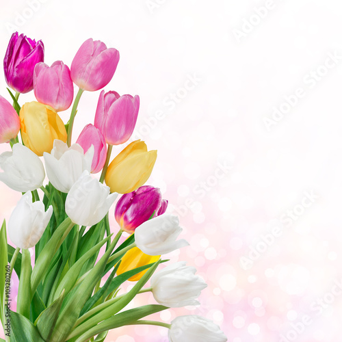 Fototapeta Naklejka Na Ścianę i Meble -  Spring background